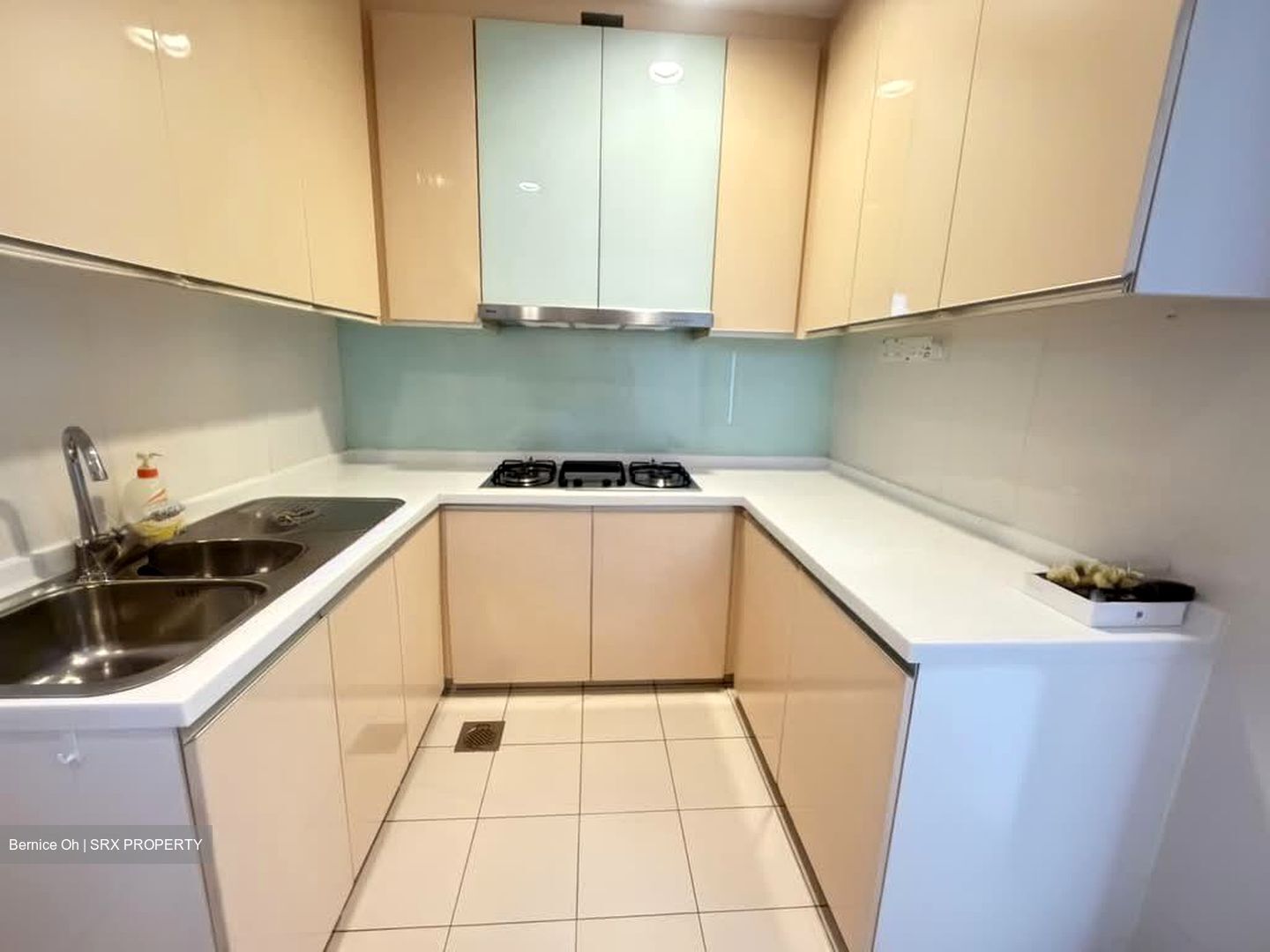 Poshgrove East (D15), Condominium #570453301